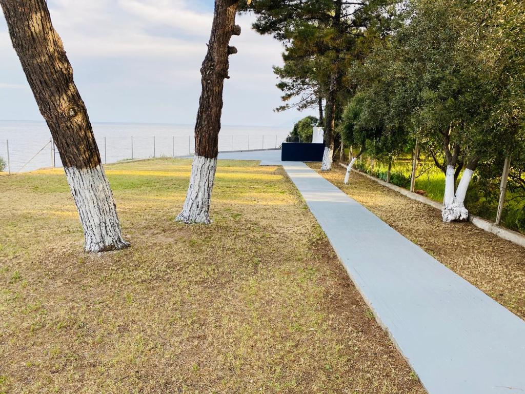 a walkway through a park with trees at Villa Palma in Alexandroupoli