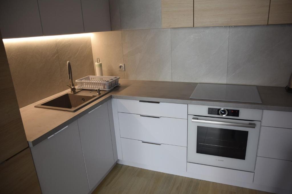 Kuchyňa alebo kuchynka v ubytovaní Apartament Pod Papugami