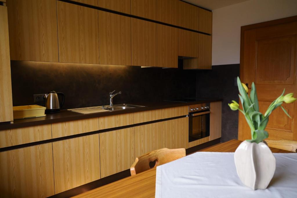 Kuchyň nebo kuchyňský kout v ubytování Ferienwohnung Frech