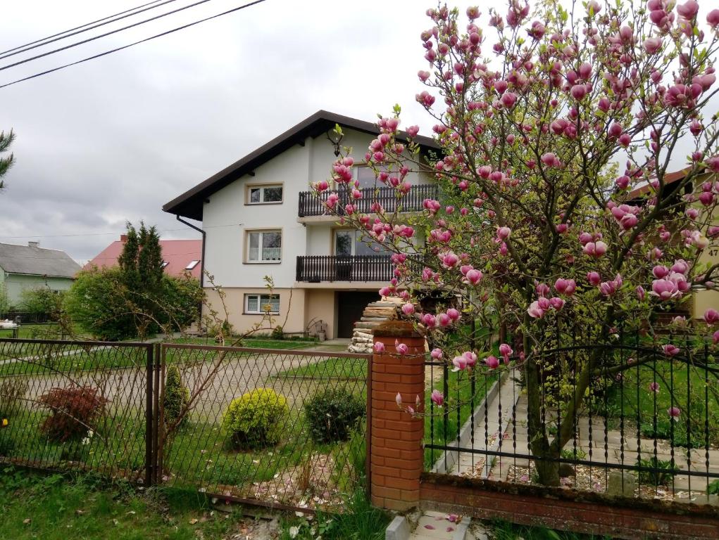 a house with a fence and a tree with pink flowers at Agrowczasy in Wola Piotrowa