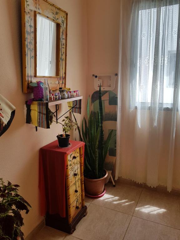 Laurainu check in de 15 a 22 hora - 13