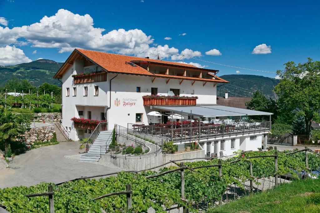 a building in a vineyard with a bunch of vines at Gasthof Falger in Vollan