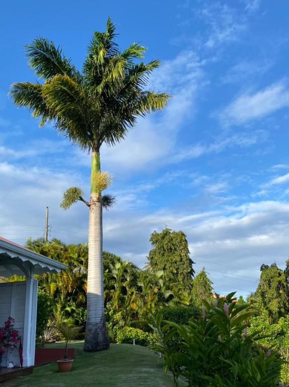 Zahrada ubytování Villa Cajou chambres d'hôtes chez l'habitant et Zanzibar cottage