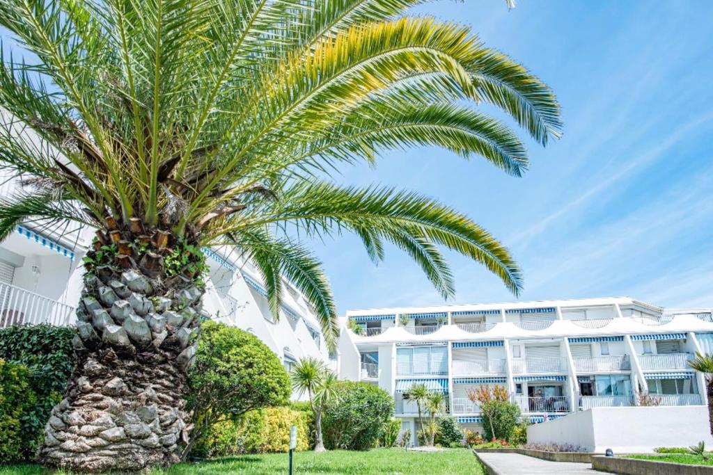 un palmier devant un bâtiment dans l'établissement Bright Apt With Terrace In La Grande Motte, à La Grande Motte