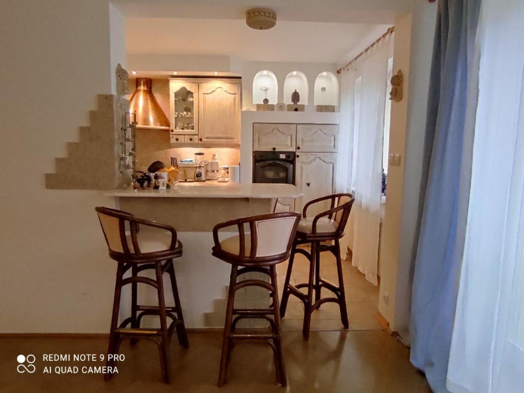 Køkken eller tekøkken på EXCEPTIONAL,ORIENTAL STYLE FLAT close to Warsaw