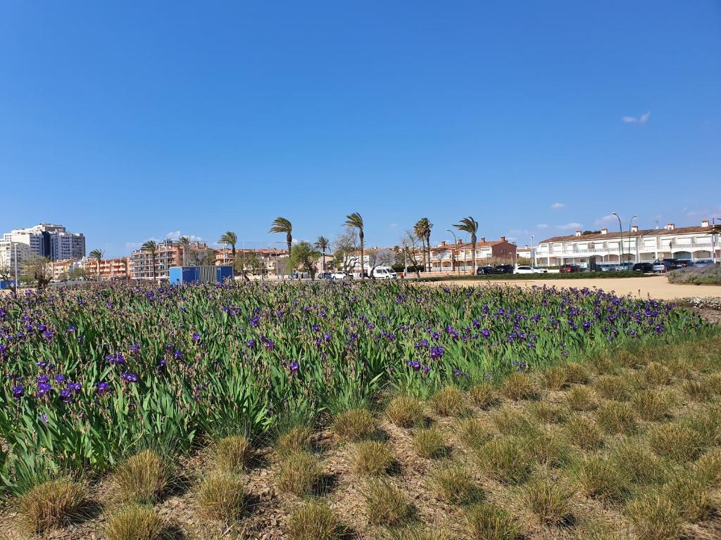 Fotografia z galérie ubytovania APARTAMENTO BLUE SEA v destinácii Empuriabrava