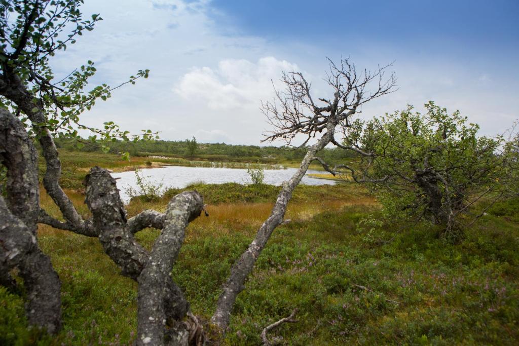 Fulufjällsgården