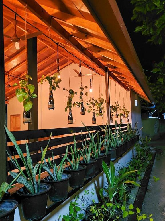 Zahrada ubytování KingsWay Thoddoo Maldives