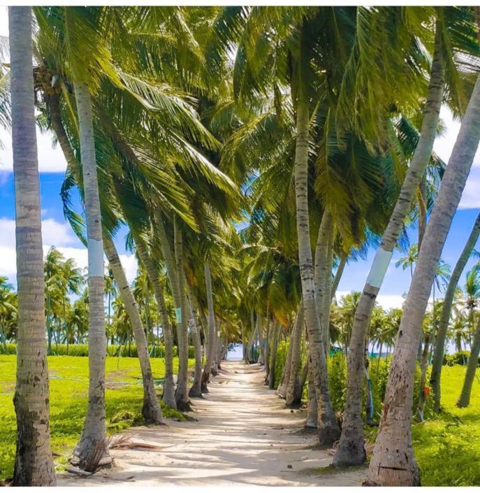Zahrada ubytování KingsWay Thoddoo Maldives