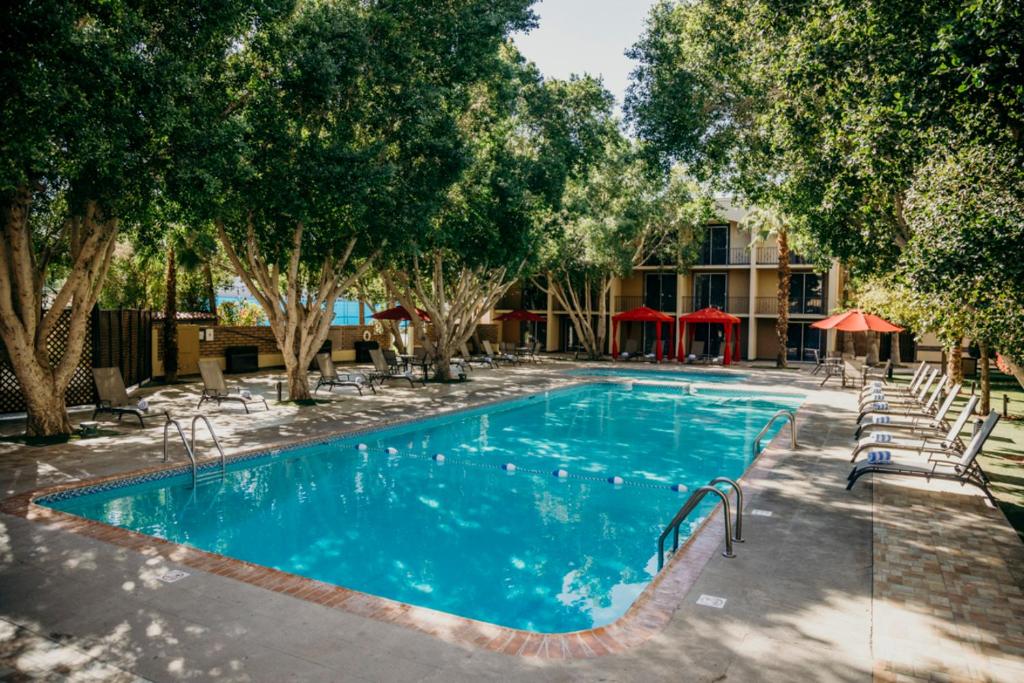 une piscine avec des chaises et des arbres ainsi qu'un bâtiment dans l'établissement Hotel Araiza Mexicali, à Mexicali