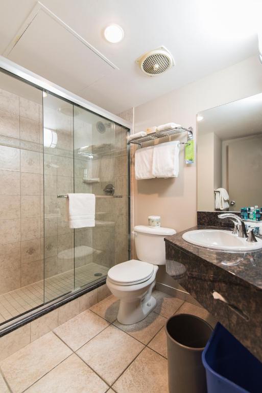 a bathroom with a toilet and a shower and a sink at Charltons Banff in Banff