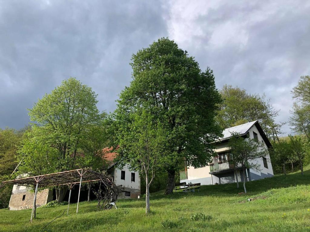 uma casa num campo ao lado de uma árvore em Etno kuća Milidrag em Foca
