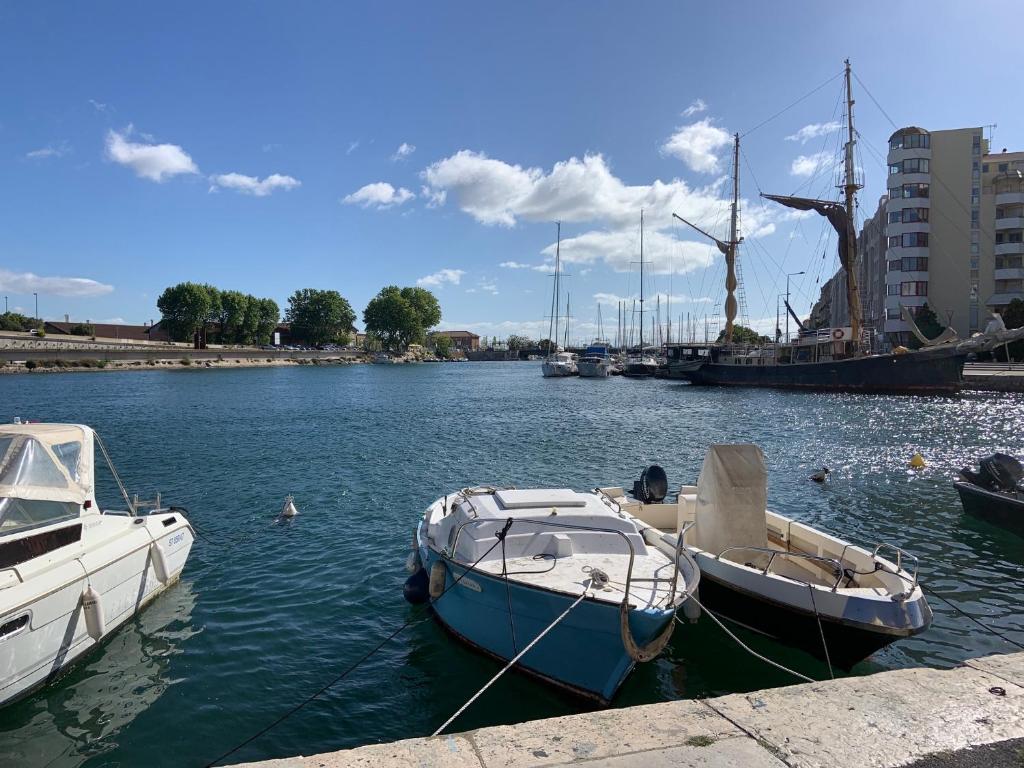 Photo de la galerie de l'établissement Sète 2.0, à Sète