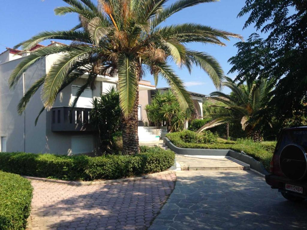 a palm tree in front of a house at House with Garden in Nea Peramos