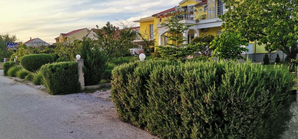 a row of hedges in front of a house at Anđela Home - Krka waterfalls in Lozovac