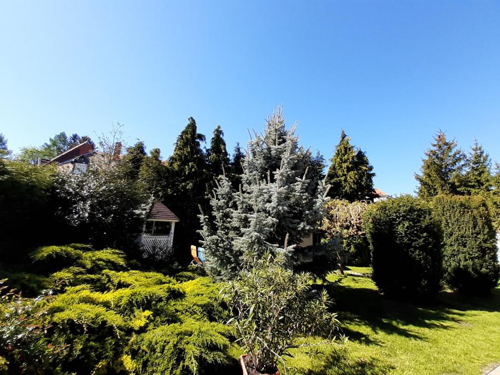 Zahrada ubytování Fődi apartman