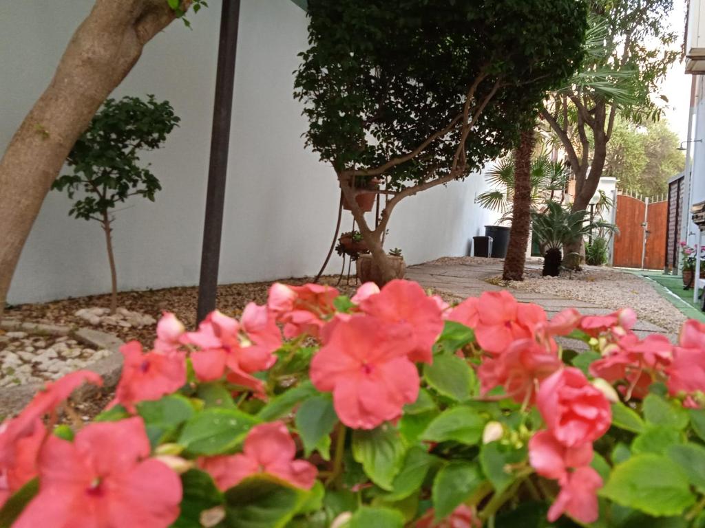 Guest House Oleandro - Apartamento De Dos Dormitorios