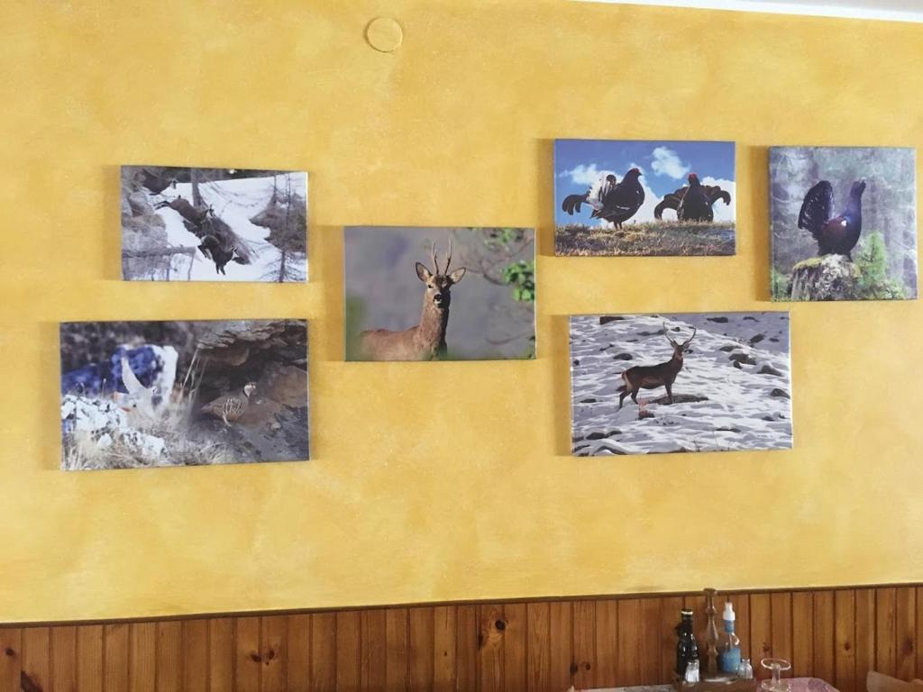 Fotografie z fotogalerie ubytování Locanda Da Tullio v destinaci Capovalle