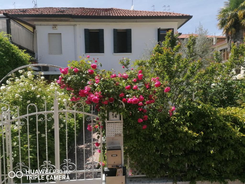 a gate with pink roses in front of a house at Casa Bianca in Mestre