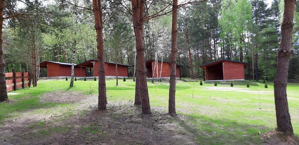 Fotografia z galérie ubytovania Domki Wrzosowe Wzgórza Nr1 v destinácii Horyniec