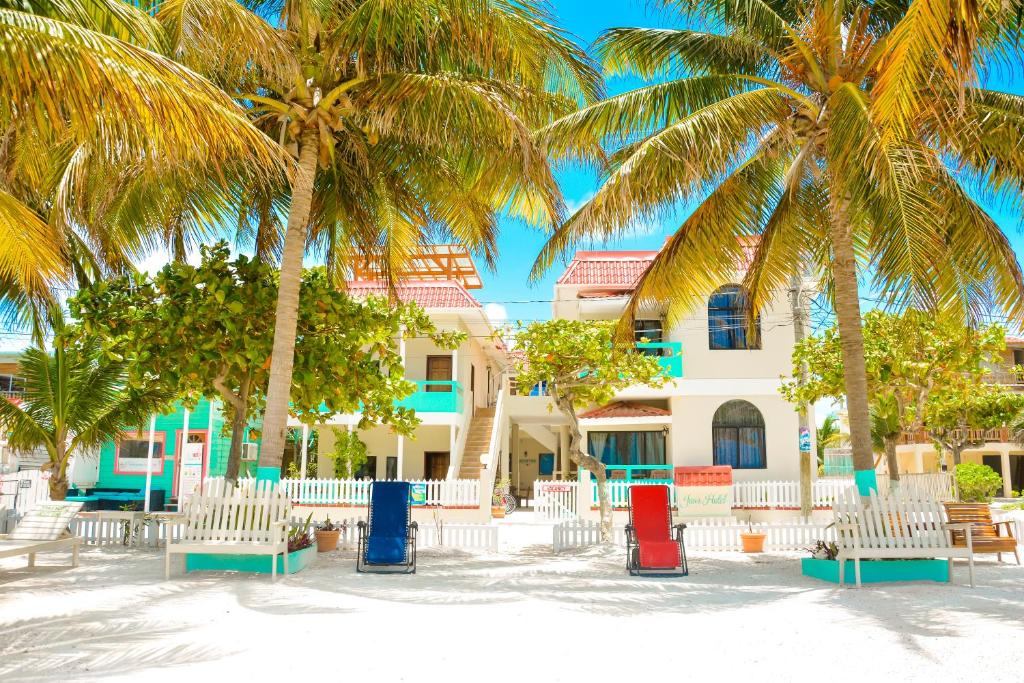 een resort met palmbomen en stoelen op het strand bij Jan's Hotel in Caye Caulker