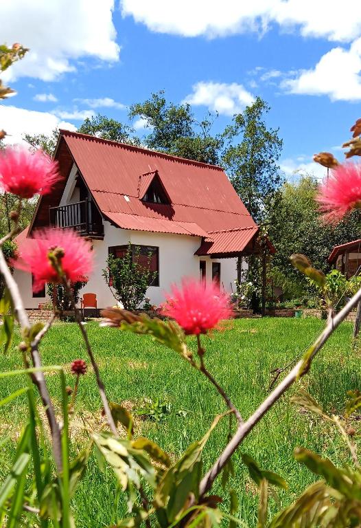 Zahrada ubytování CABAÑAS SANTA TERESA