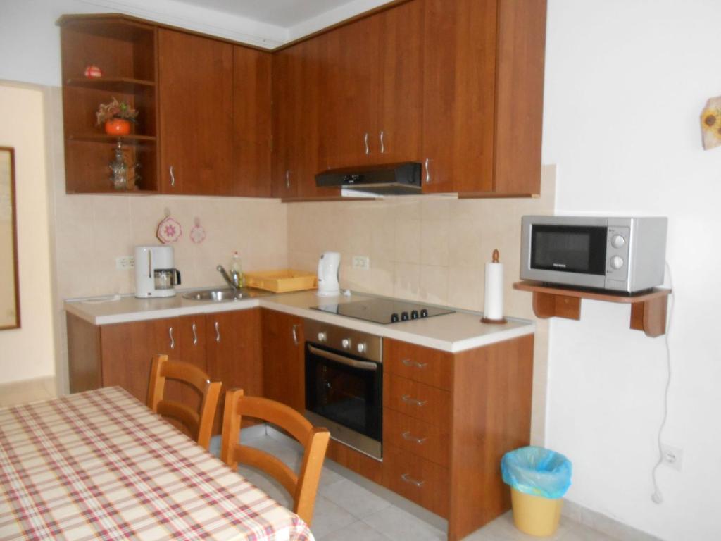 Kuchyň nebo kuchyňský kout v ubytování Apartments VESNA