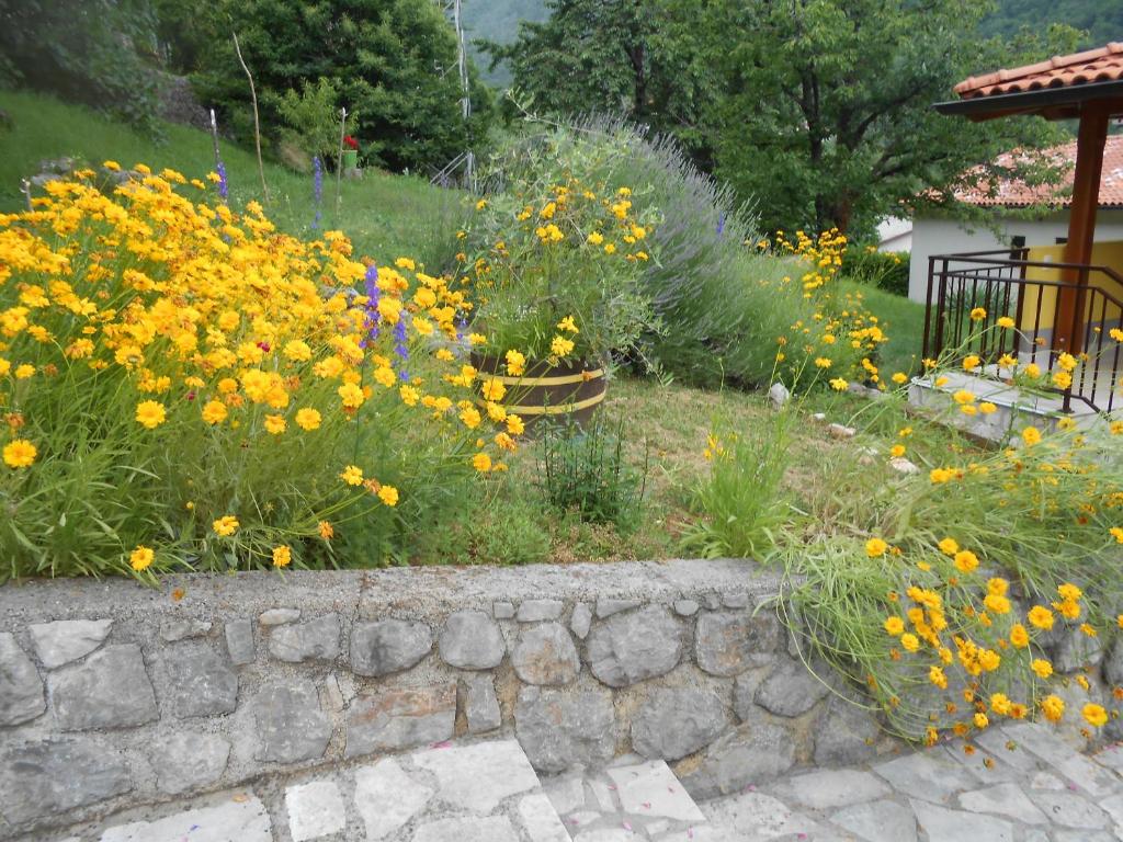 Zahrada ubytování Apartments VESNA
