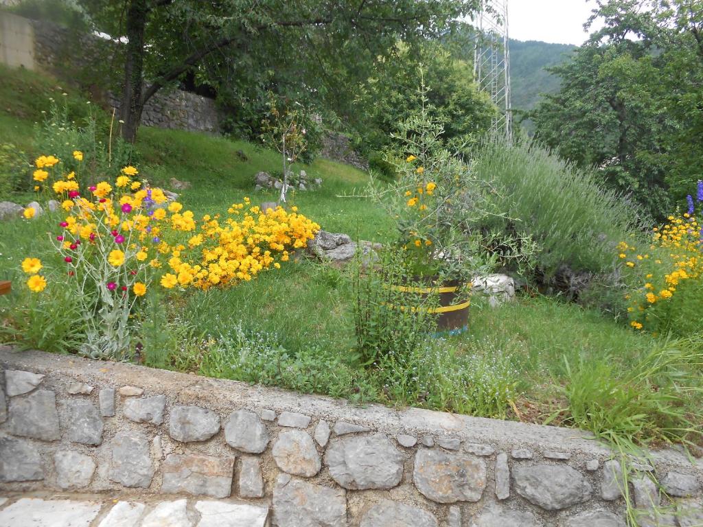 Zahrada ubytování Apartments VESNA