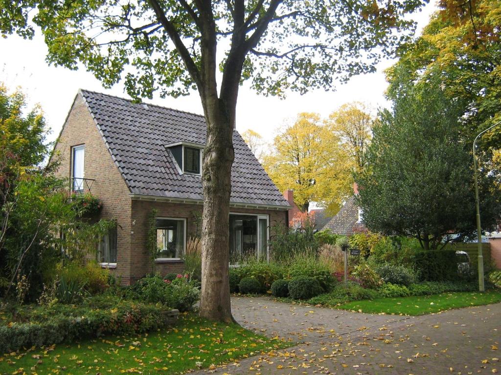 a brick house with a tree in the yard at B&B De Esdoorn in Norg