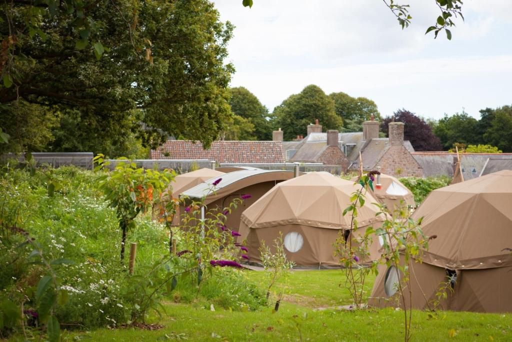 un grupo de tiendas de campaña en un patio con césped en Durrell Wildlife Camp, en Trinity