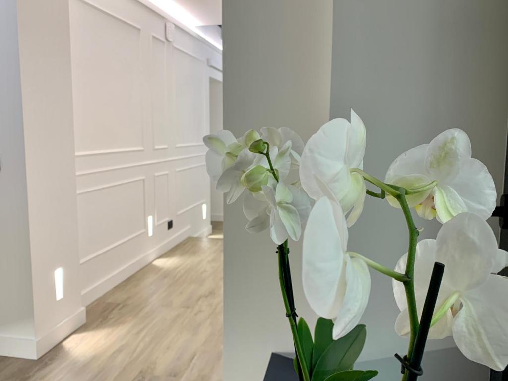 Fotografie z fotogalerie ubytování Toledo Boutique Rooms v Neapoli