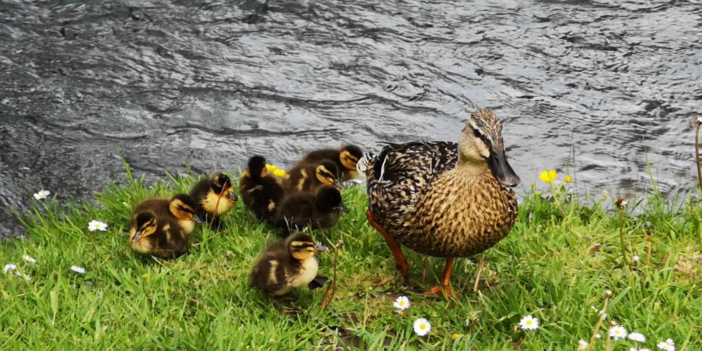 Galeriebild der Unterkunft La Cour du Puits, chambre Colyn in Cormeilles