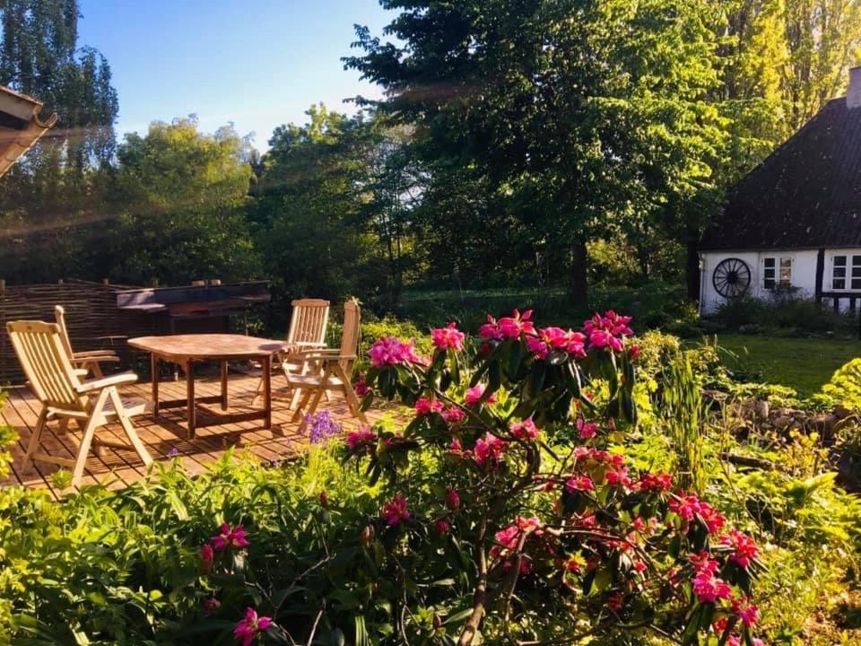 Zahrada ubytování Sivagerhuset Holiday-Home