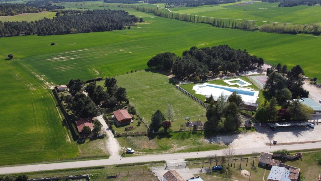 Casas y chalets Las Casitas del Pinar en Bayubas de Abajo, Castilla y León