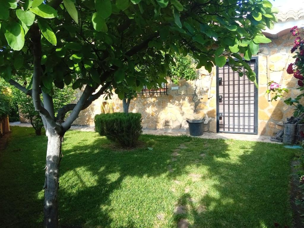 A garden outside sol de membrillo