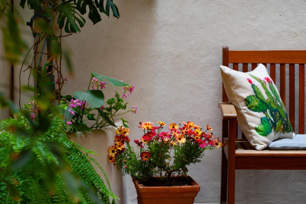 Zahrada ubytování Affittacamere B&B Carella