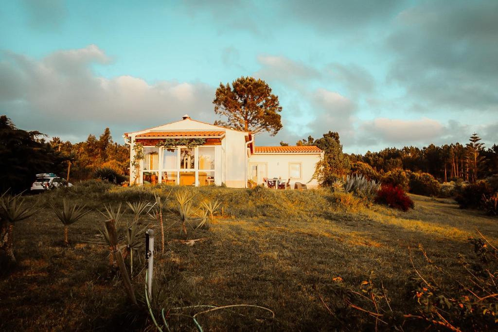 een wit huis in een veld met een boom bij Monte da Urze Aljezur in Aljezur