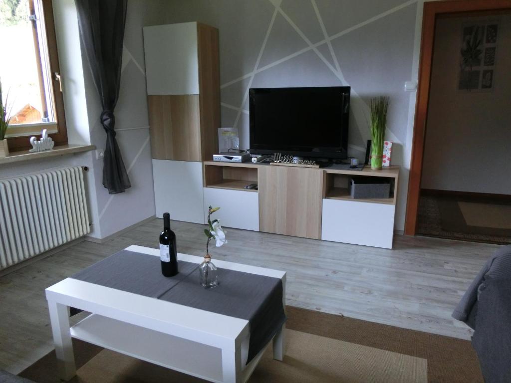 TV a/nebo společenská místnost v ubytování Appartements Gerhard