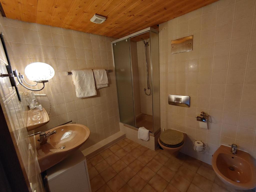 Hotel Adler - Habitación Doble O Twin