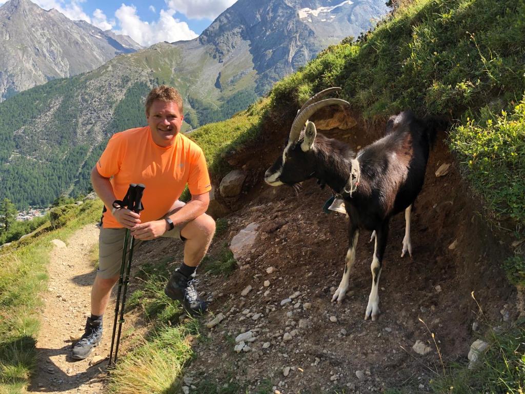 Zvířata v apartmánu nebo okolí
