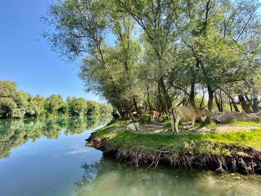 Příroda nedaleko apartmánu
