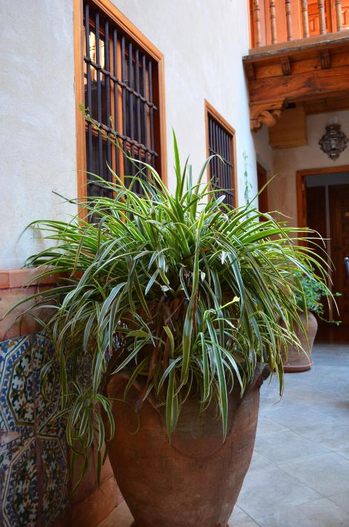 Zahrada ubytování Hotel Santa Isabel La Real