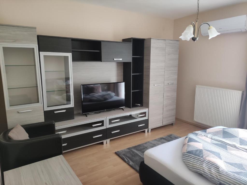 TV a/nebo společenská místnost v ubytování Zsanett Appartement