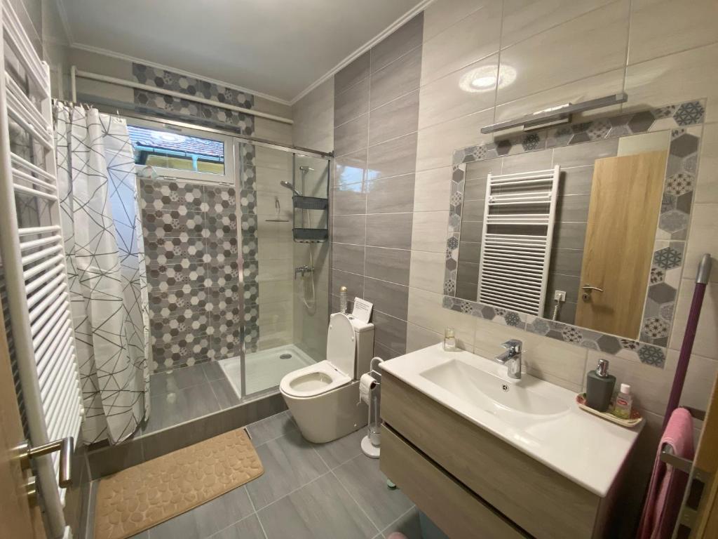 エゲルにあるEszter Apartmanのバスルーム(トイレ、洗面台、シャワー付)