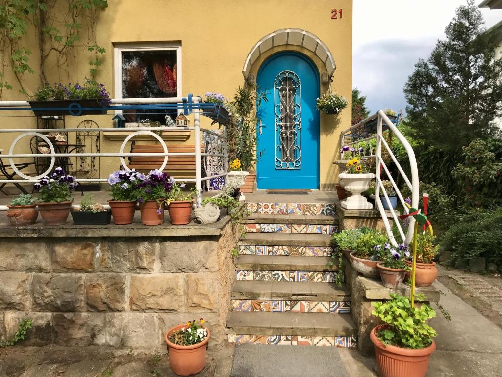 een huis met een blauwe deur en enkele potplanten bij Lovely Nest near Budapest in Dunakeszi