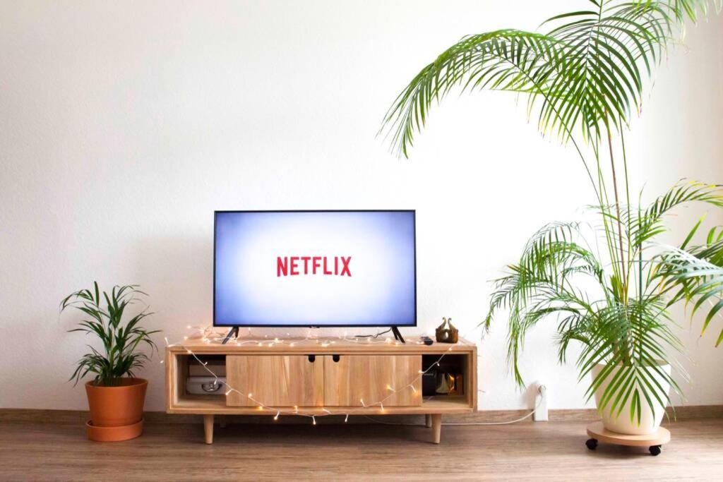 a television on a wooden entertainment center with two plants at Modernes 2-Zimmer-Apartment mit Balkon und Netflix in Jena