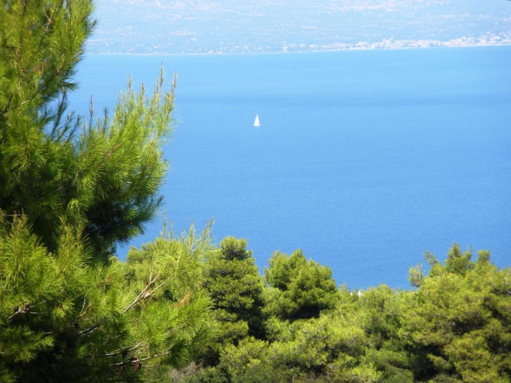 um veleiro na água atrás de algumas árvores em Villa Xanthippe em Kalamos