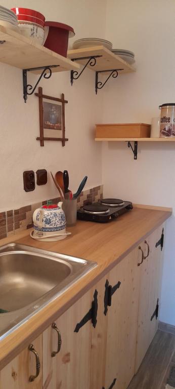Kuchyň nebo kuchyňský kout v ubytování Atelier Spojovaci