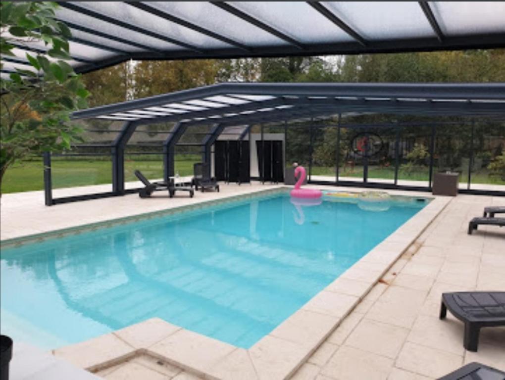 a swimming pool with a canopy and a pink flamingo at Château De Breuil in Bruyères-et-Montbérault